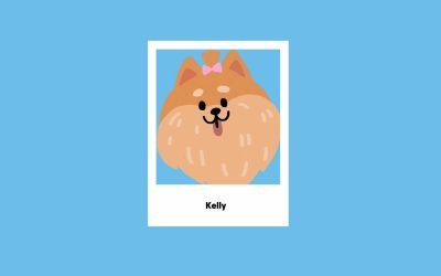 Kelly y la cámara. Cómo Tomar las Mejores Fotos de tu Mascota.