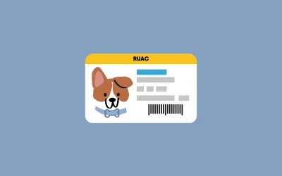 CURP para Mascotas, todo lo que debes saber.
