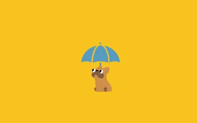 Cómo Proteger a tu Mascota del Calor: Consejos para un Verano Seguro