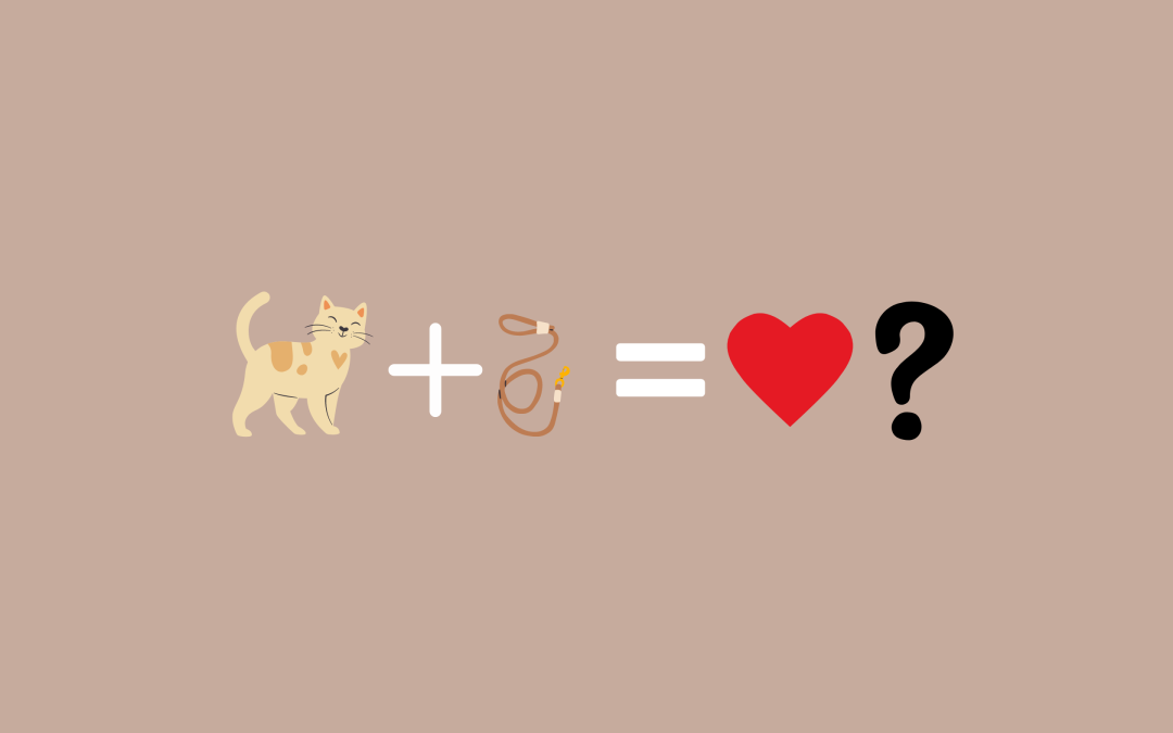 ¿Por qué los gatos pueden amar la correa?