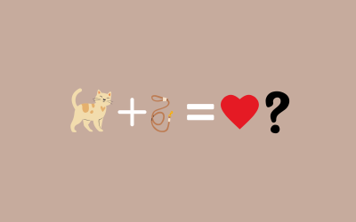 ¿Por qué los gatos pueden amar la correa?