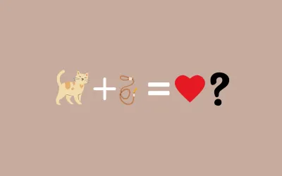 ¿Por qué los gatos pueden amar la correa?