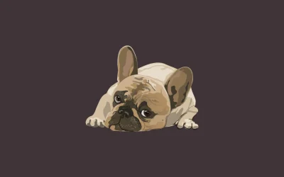 ¿Qué puedo hacer para que mi perro deje de lamerse las patas?