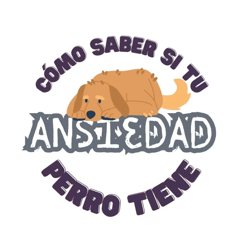 Ilustración de un perro acostado con expresión triste, rodeado del texto "Cómo saber si tu perro tiene ansiedad".