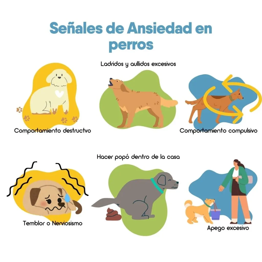 Ilustración con diferentes señales de ansiedad en perros, como comportamiento destructivo, ladridos excesivos, temblor, hacer sus necesidades en casa, comportamiento compulsivo y apego excesivo.