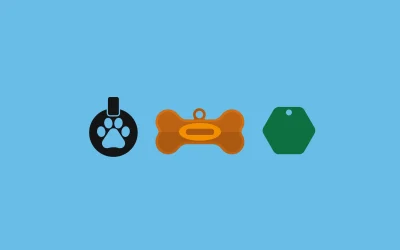 5 Datos Fascinantes sobre las Placas de Identificación para Mascotas