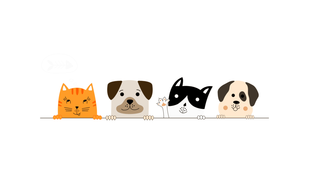 Gato y perros asomados juntos, representando la convivencia armoniosa entre mascotas.