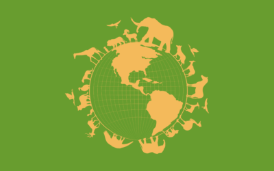 ¡Celebra el Día Mundial de los Animales! Descubre cómo puedes marcar la diferencia hoy