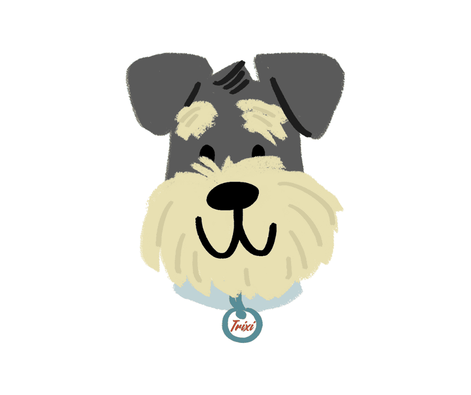Dibujo de la cara de un perro Schnauzer con un collar que lleva la etiqueta "Trixi".
