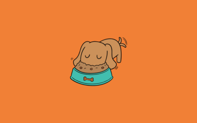 ¿Cómo hago que mi perro coma? Consejos prácticos para recuperar su apetito