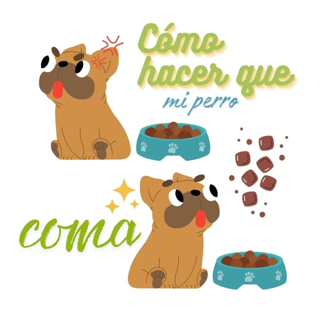 Cómo hacer que un perro coma: ilustración de un perro inicialmente desinteresado y luego emocionado por su comida.