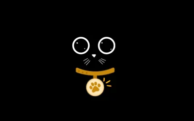 Por qué tu gato necesita una placa de identificación incluso si no sale de casa