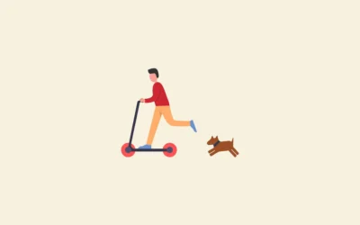 ¿Por qué mi perro me sigue a todos lados?
