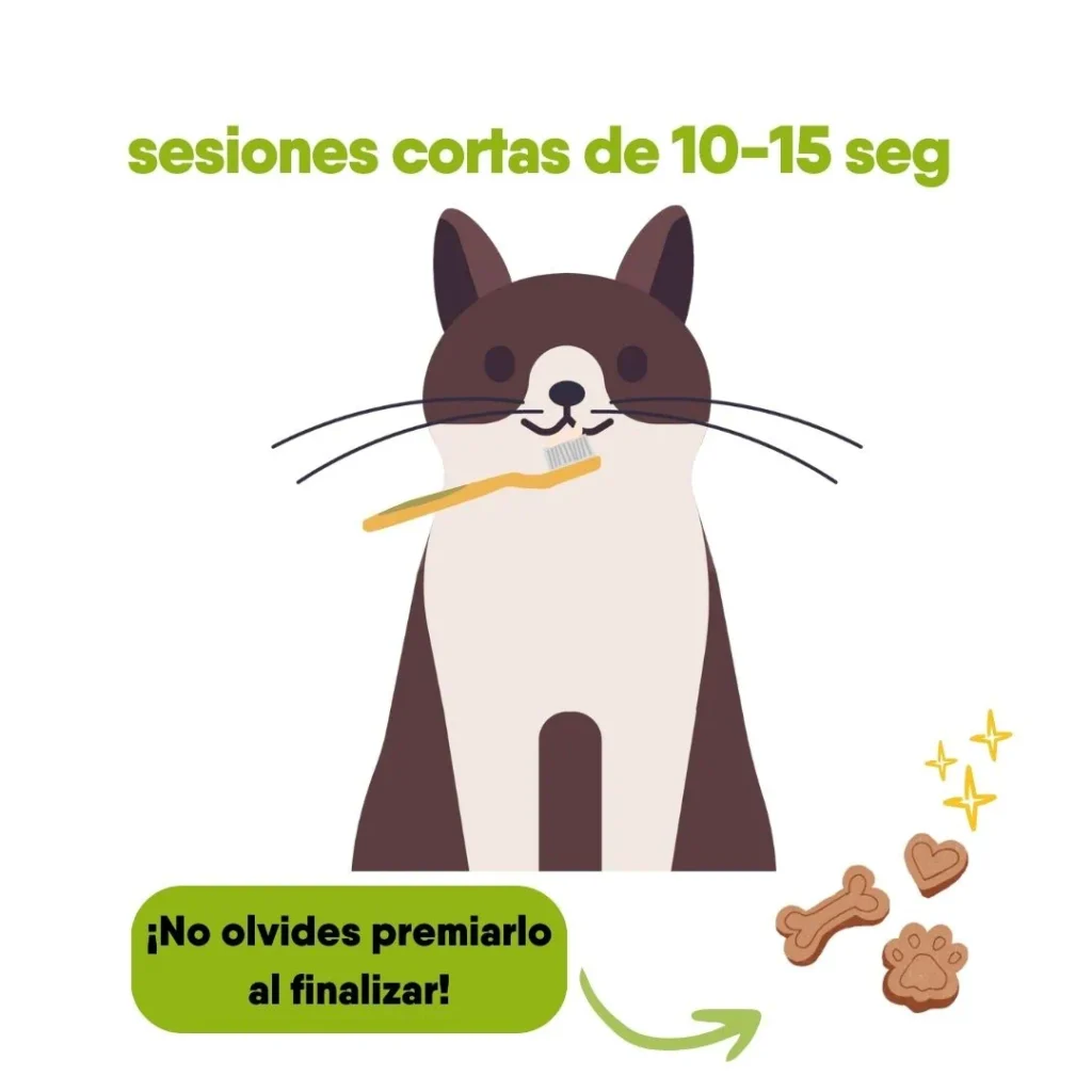 Ilustración de un gato con un cepillo de dientes en la boca y la recomendación de sesiones de 10-15 segundos.