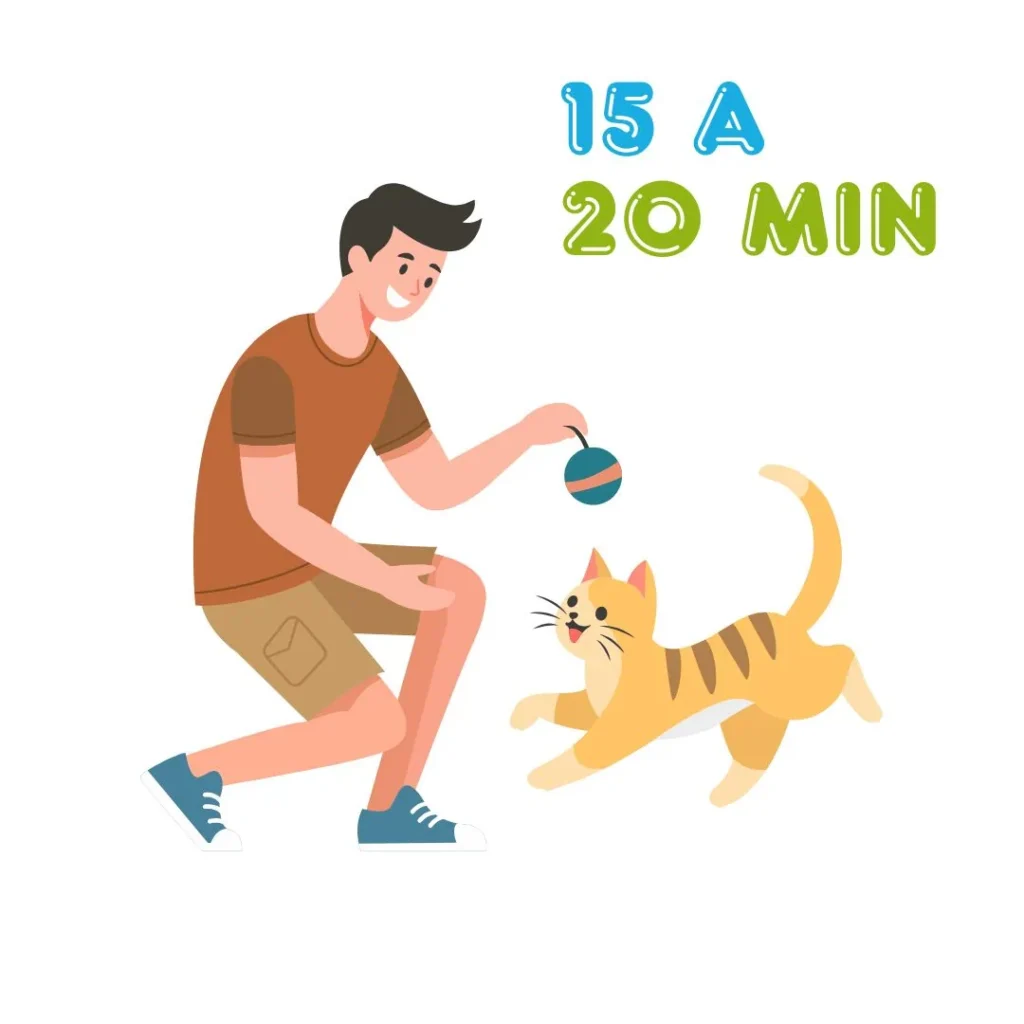 Ilustración de un hombre jugando con un gato amarillo usando una pelota de juguete, con el texto "15 a 20 min"