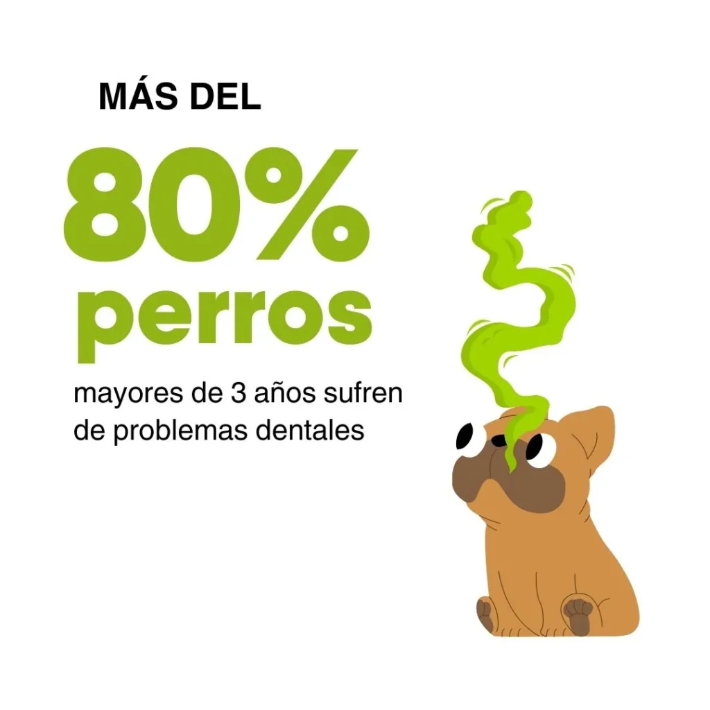 Ilustración de un perro con mal aliento y la estadística de que más del 80% de los perros mayores de 3 años sufren problemas dentales.