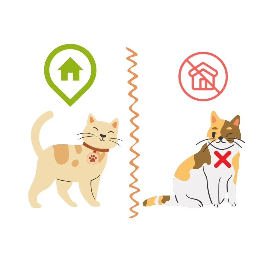 Ilustración comparativa de un gato con hogar y otro sin identificación, representando la importancia de la identificación en mascotas.