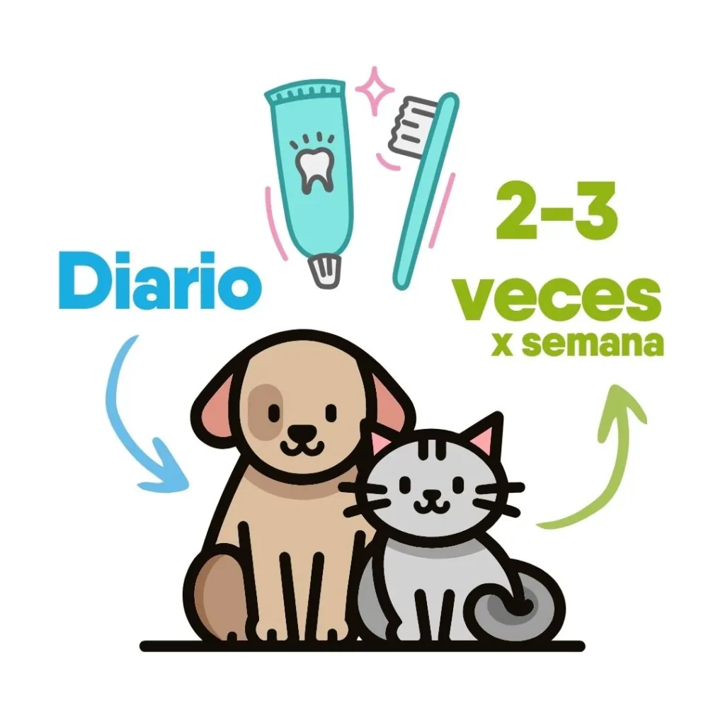 Ilustración de un perro y un gato con productos de higiene dental y la frecuencia recomendada de cepillado.