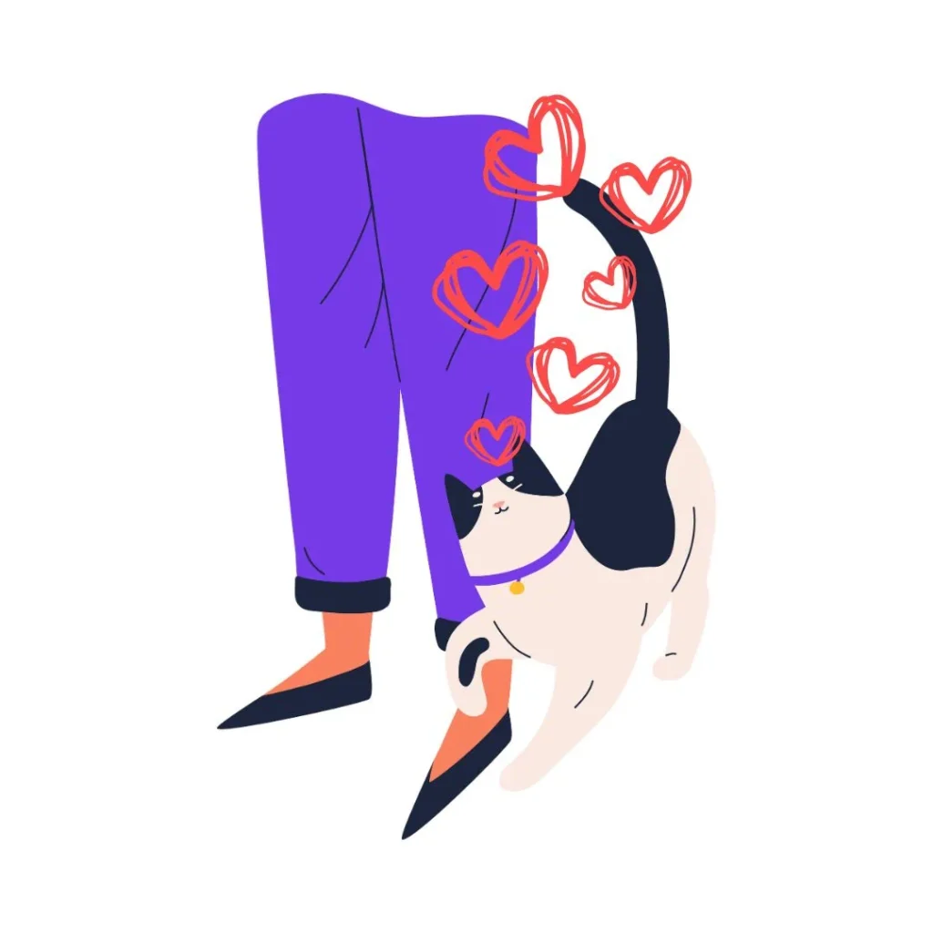Ilustración de un gato blanco y negro frotándose contra las piernas de una persona con corazones alrededor.