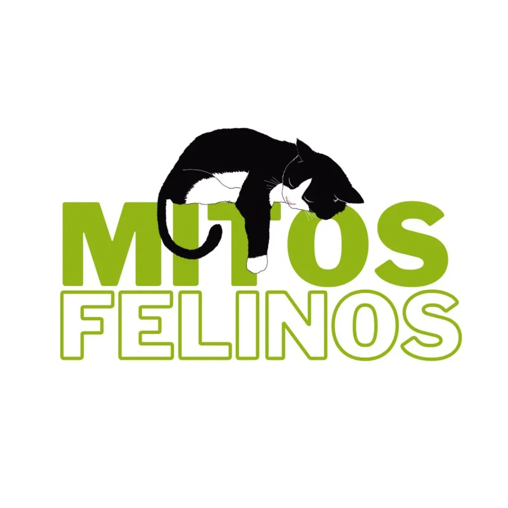 Ilustración de un gato negro y blanco durmiendo sobre el texto "Mitos felinos" en letras verdes.