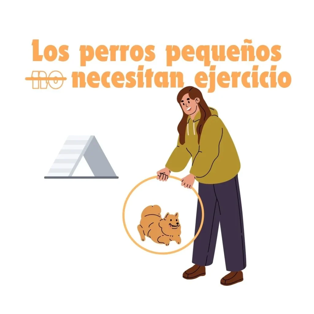 Ilustración de una mujer entrenando a su perro pequeño con un aro, junto a la frase "Los perros pequeños necesitan ejercicio"